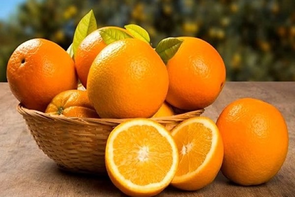 تصویر 4 از قیمت پرتقال تامسون بزرگ + خرید باور نکردنی